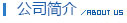 公司簡介